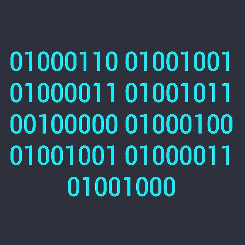 BINARY CODE / BINARY CODE F**K YOU GIFT IDEA