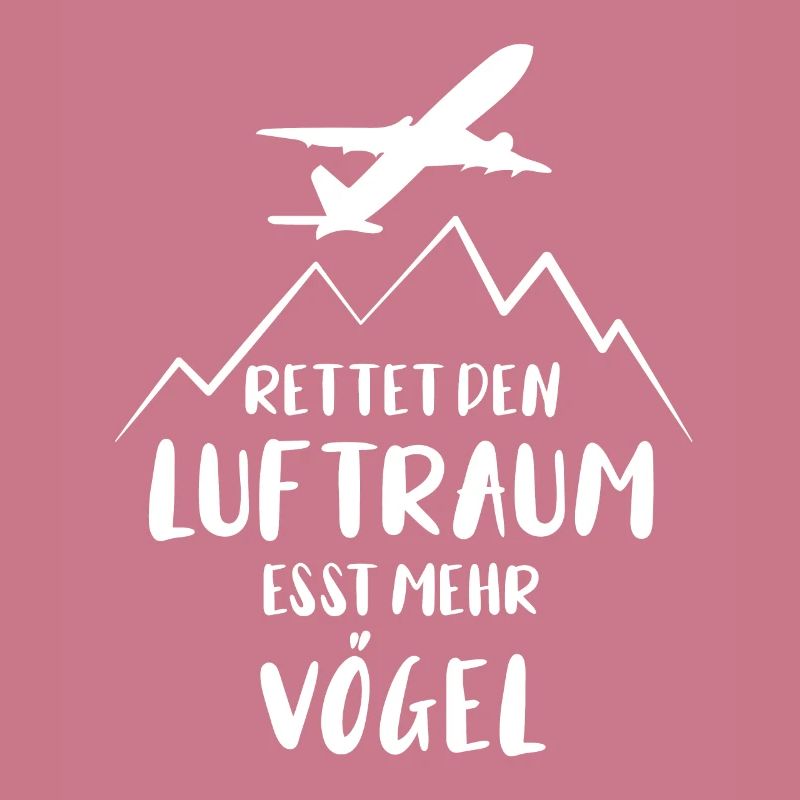 Pilot Flugzeugpilot Flugzeug Flugbegleiter