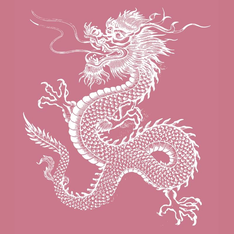 Chinesisches Drachendesign