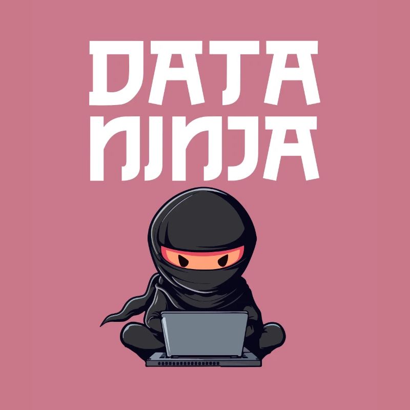 Data ninja data Scientist