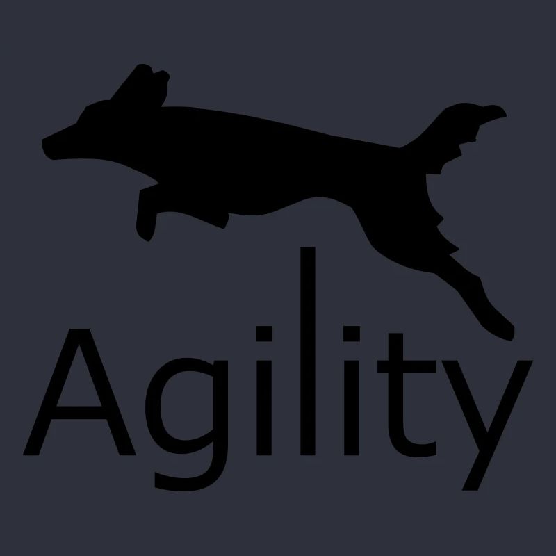 Agilité