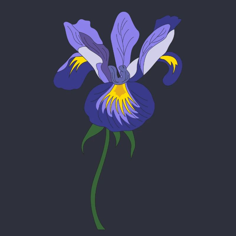 iris fleur
