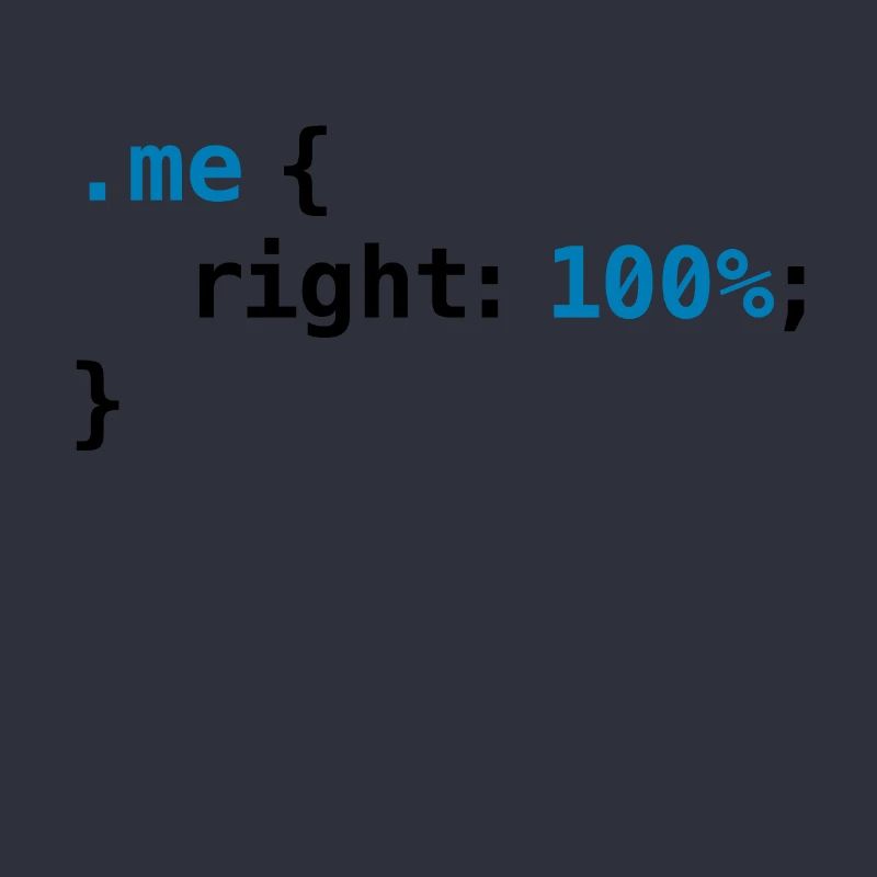 geek drôle - CSS droit 100% | Programmer Nerd Tech