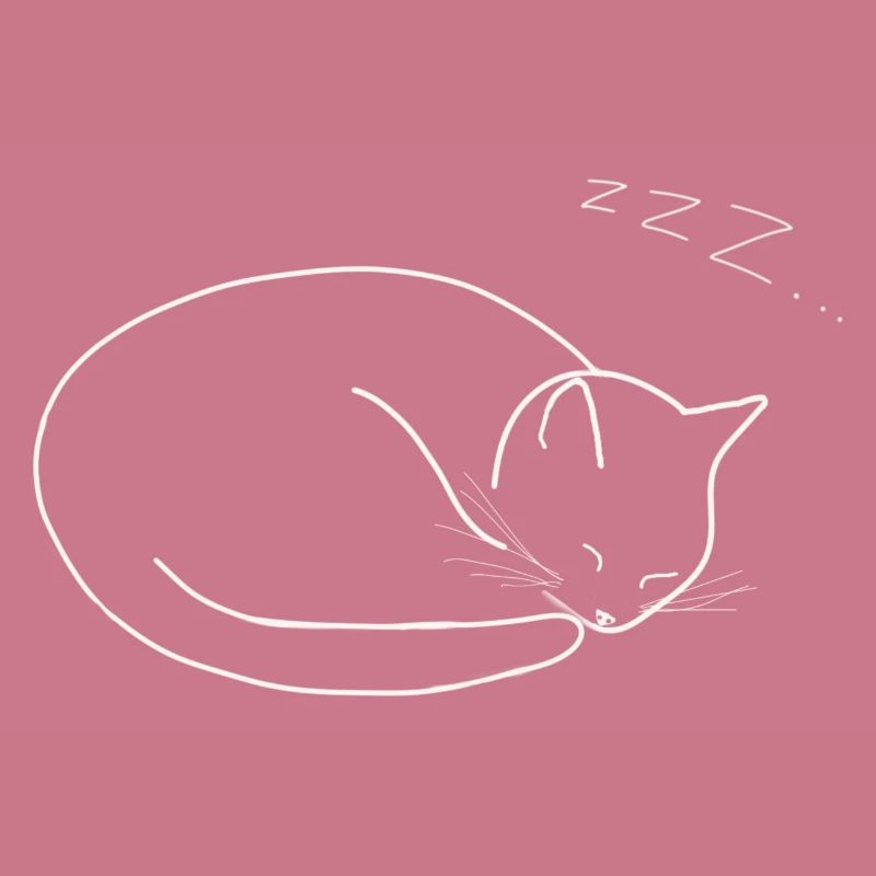 Sleeping cat