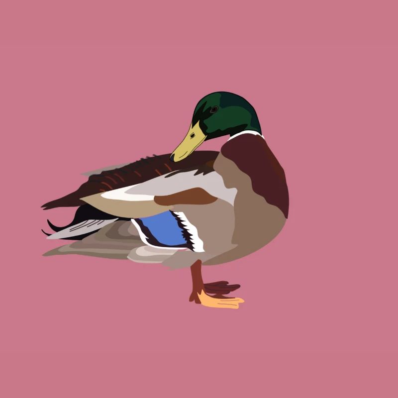 canard