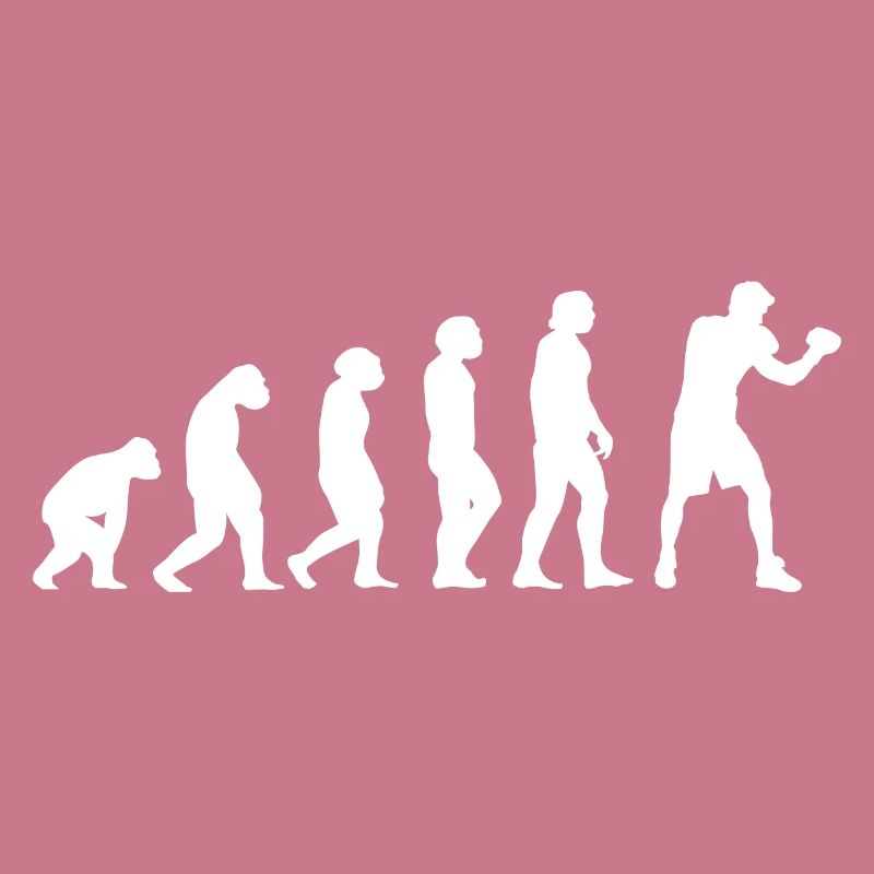 Sport Evolution Boxe