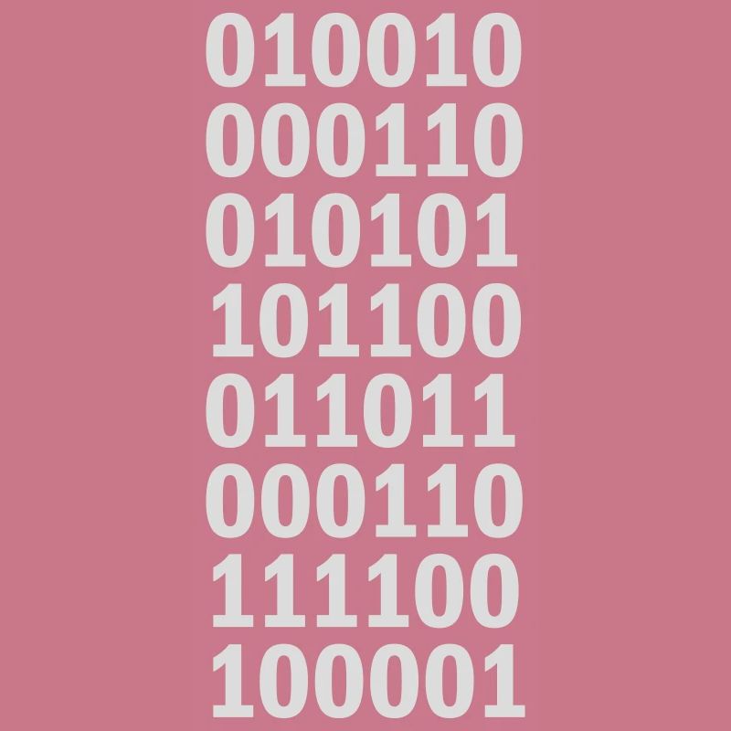Binär Code Programm Sprache
