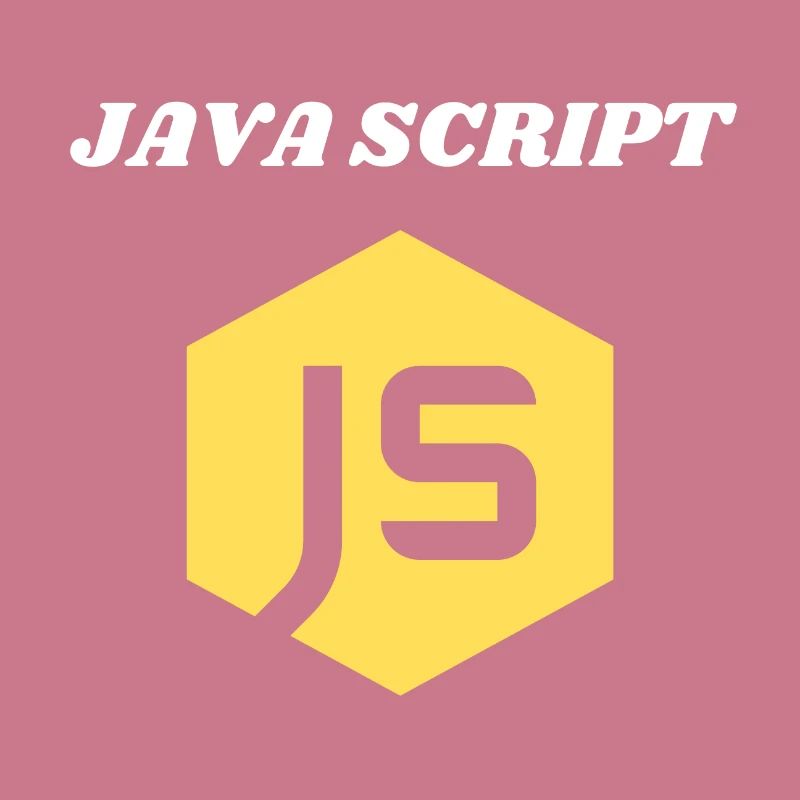 JavaScript Programmer