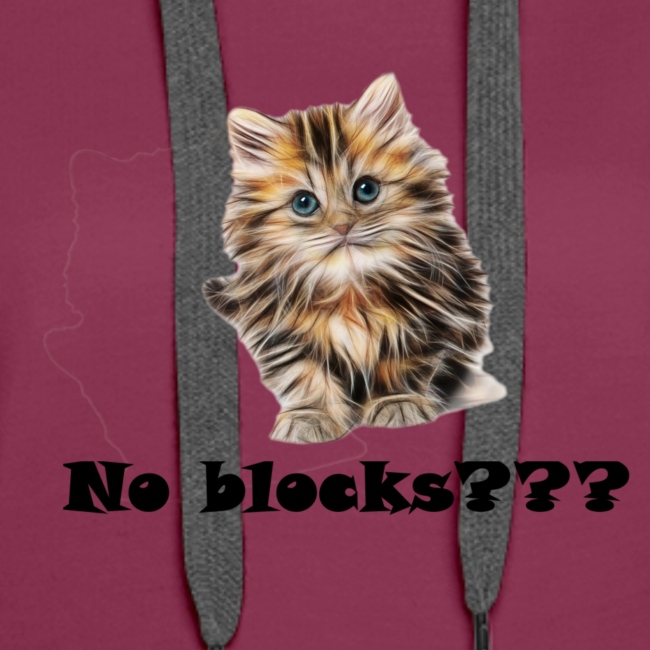 No block kitten