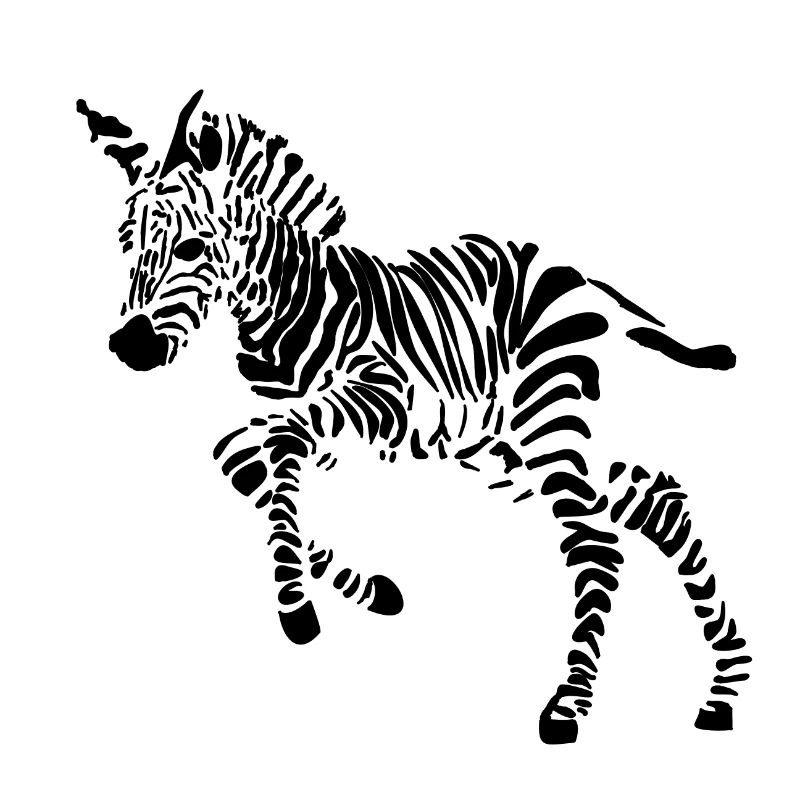 zebra