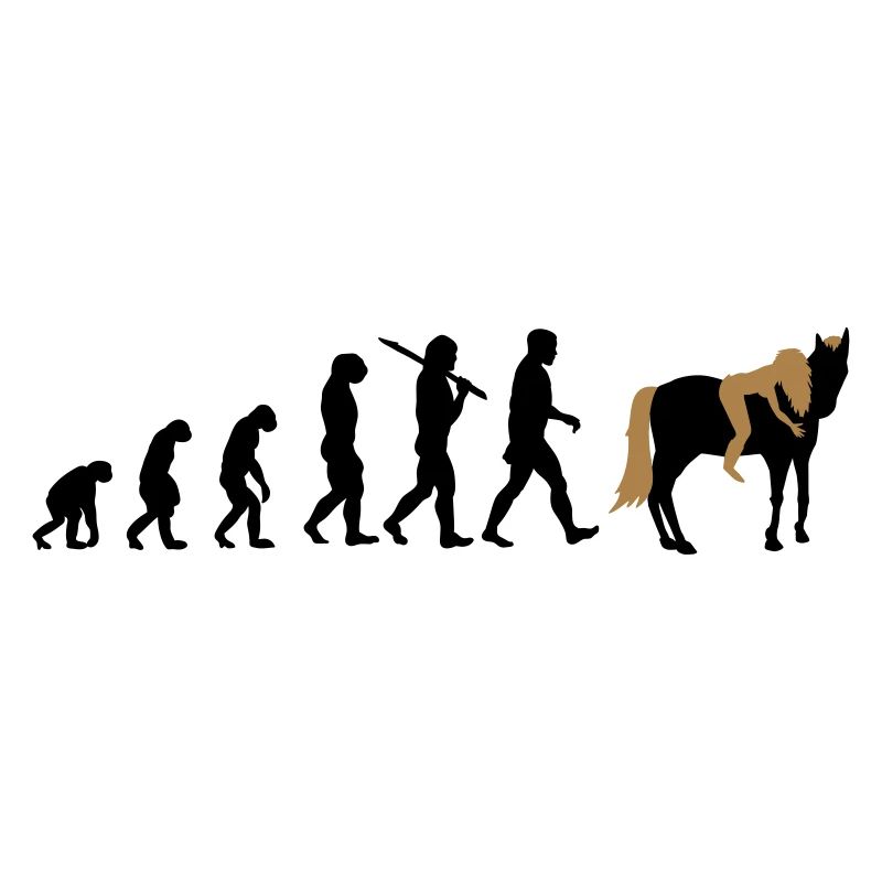 Cheval cavalier Evolution