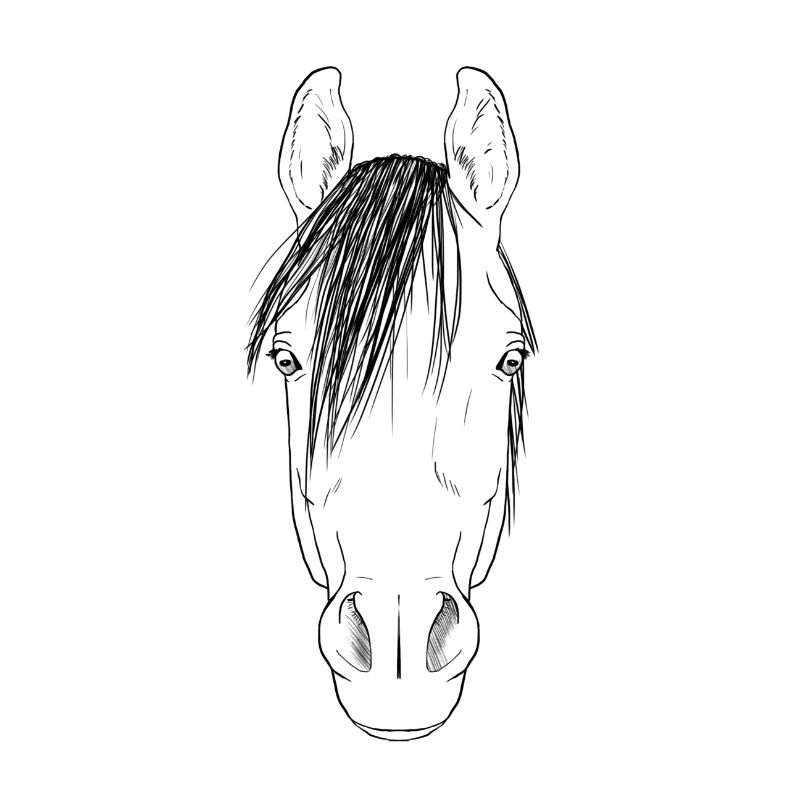 cheval