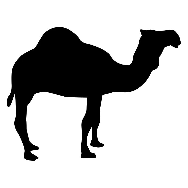 Kamel