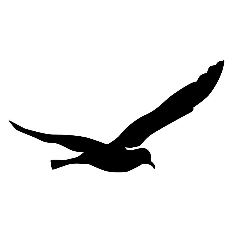 Möwe