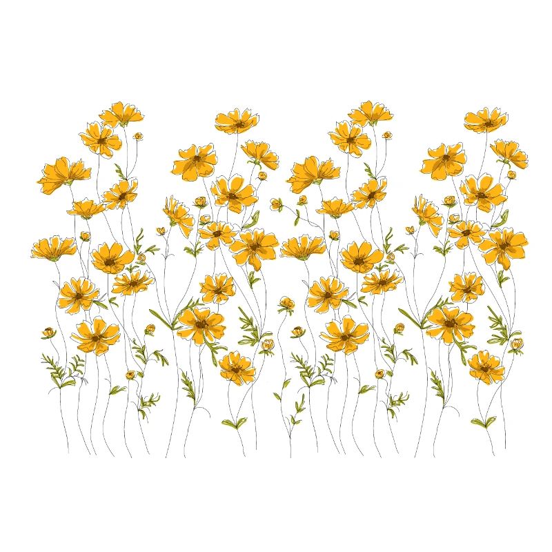 Gänseblümchen,Blumenwiese, Garten