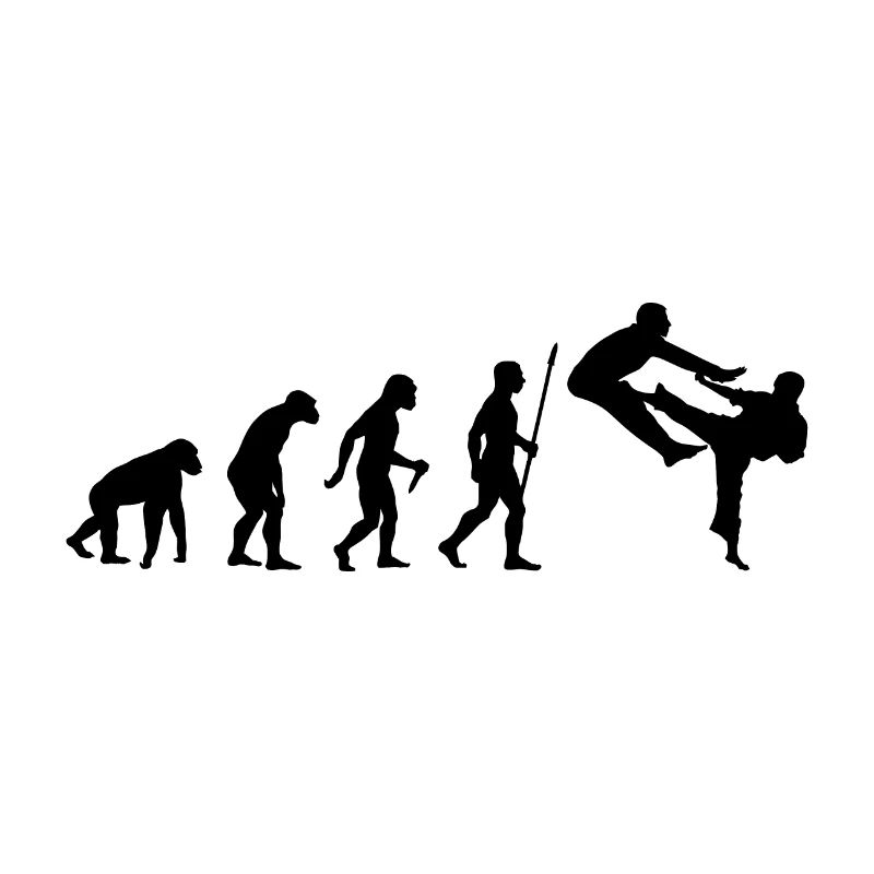 Evolution of Karate