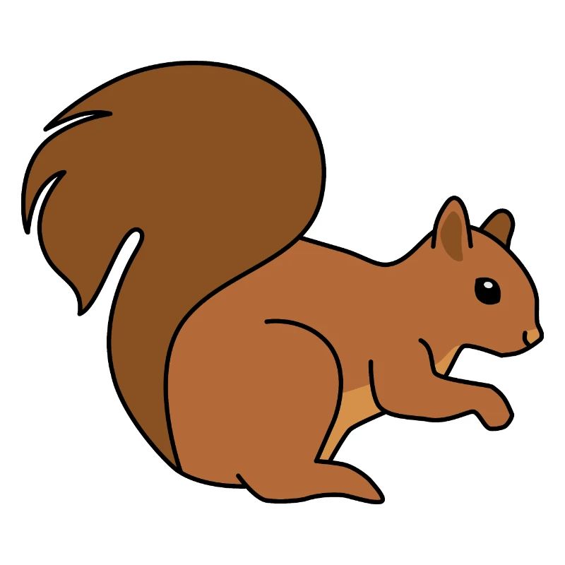 Squirrel