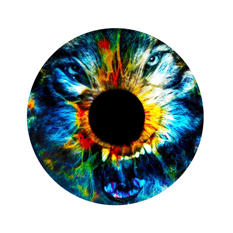 Auge des Wolfes