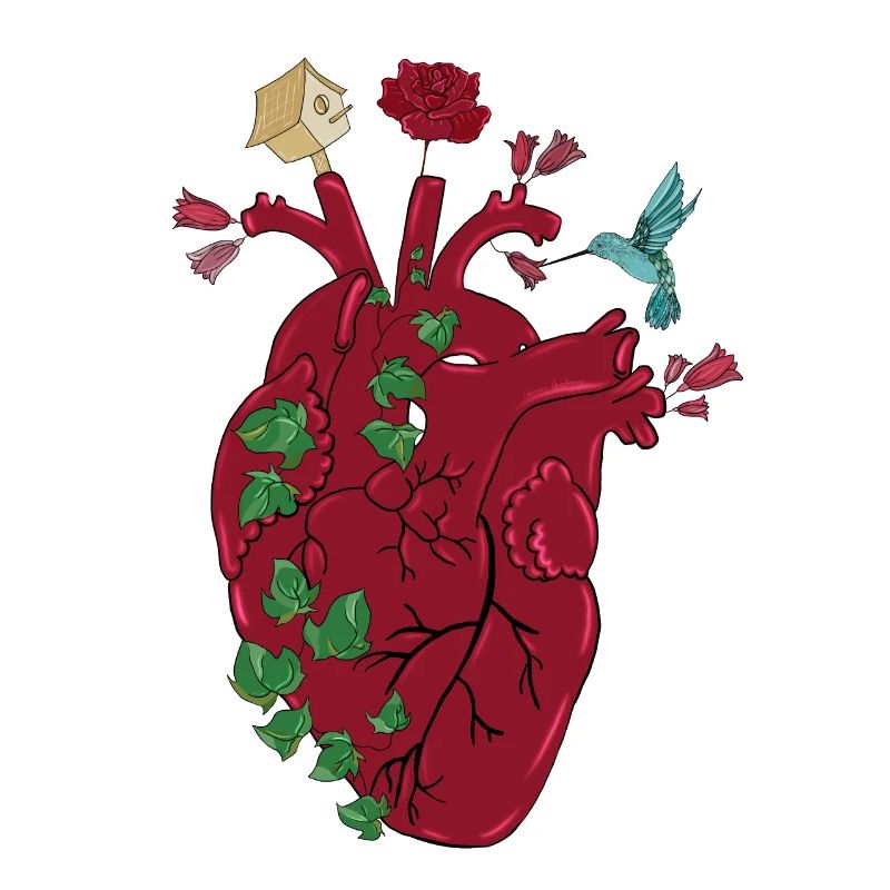 cuore