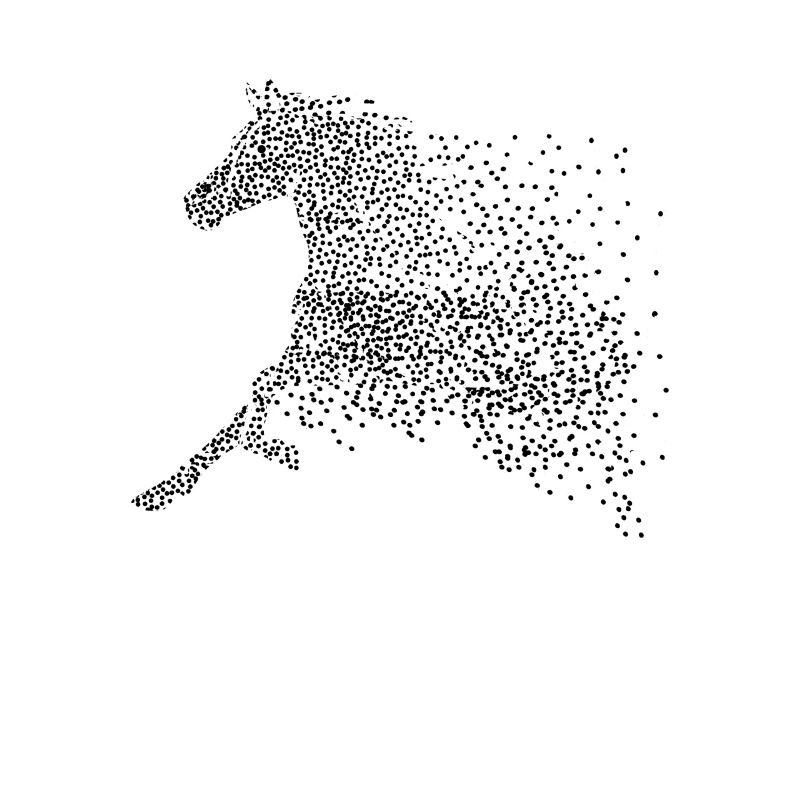 Conception de points de cheval