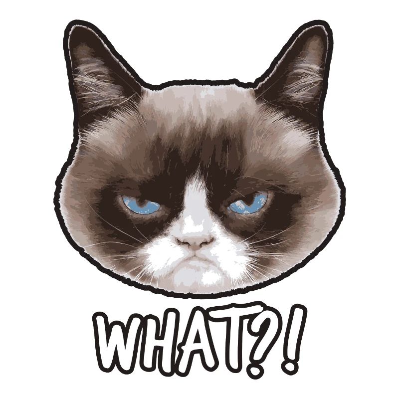Grumpy Cat Quoi?