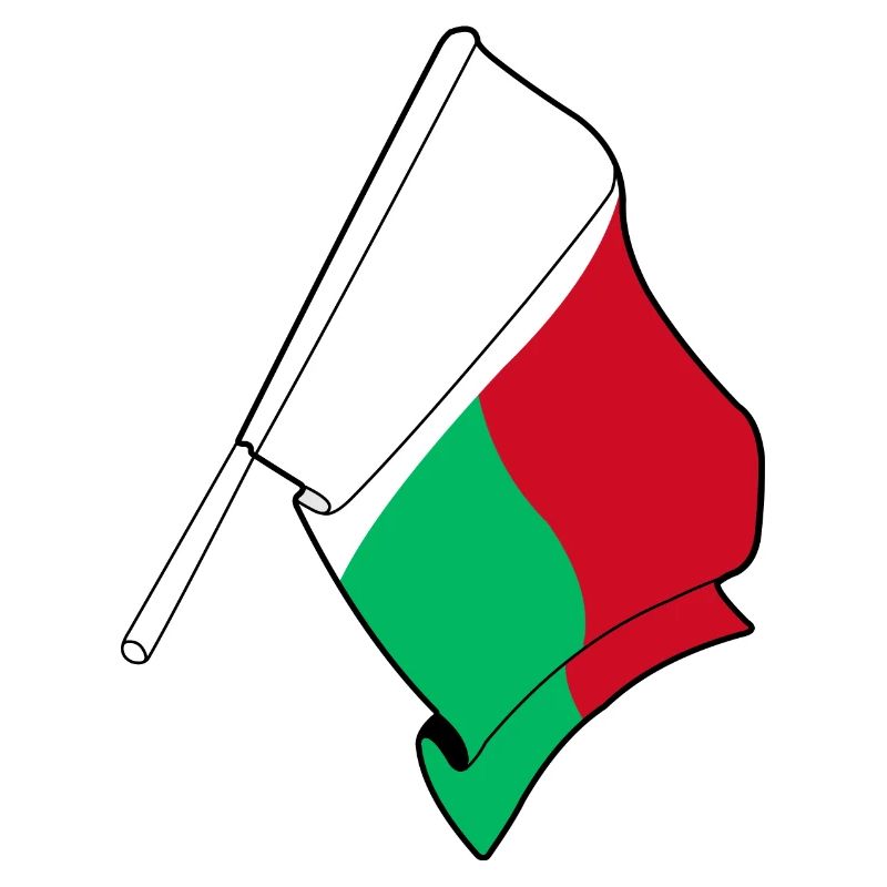 Flag Madagascar
