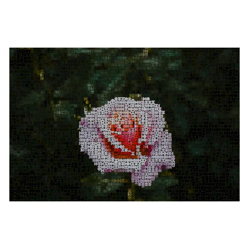 Mosaïque de roses dans le vert nuit