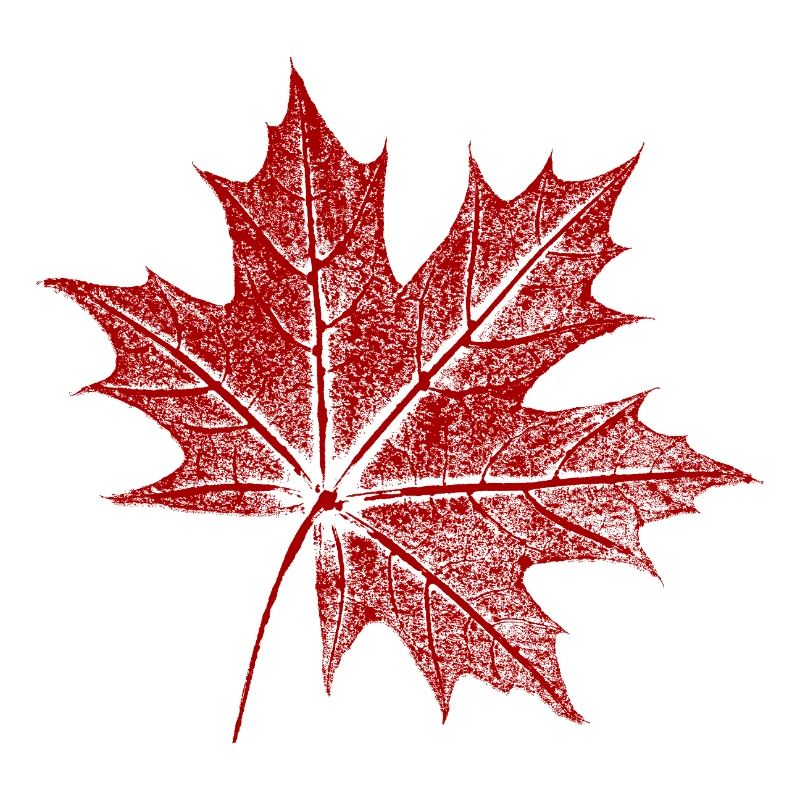 Feuille d’érable