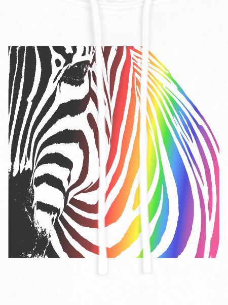 Rainbow Zebra