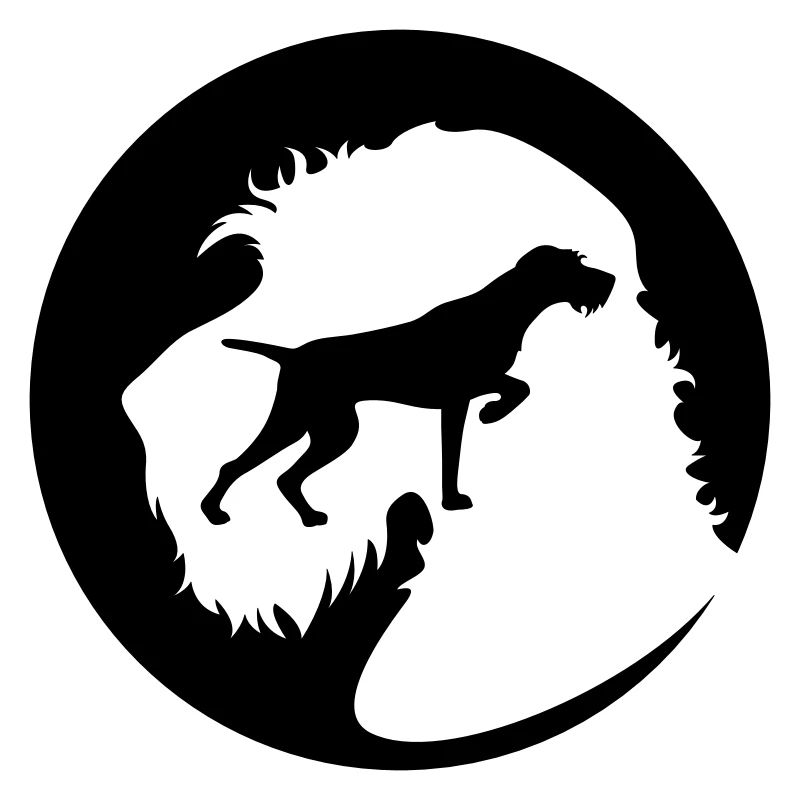 Deutsch Drahthaar - German Wirehaired Pointer