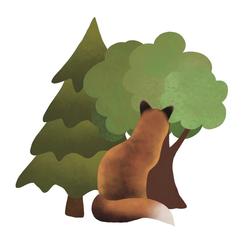 Fuchs Bäume
