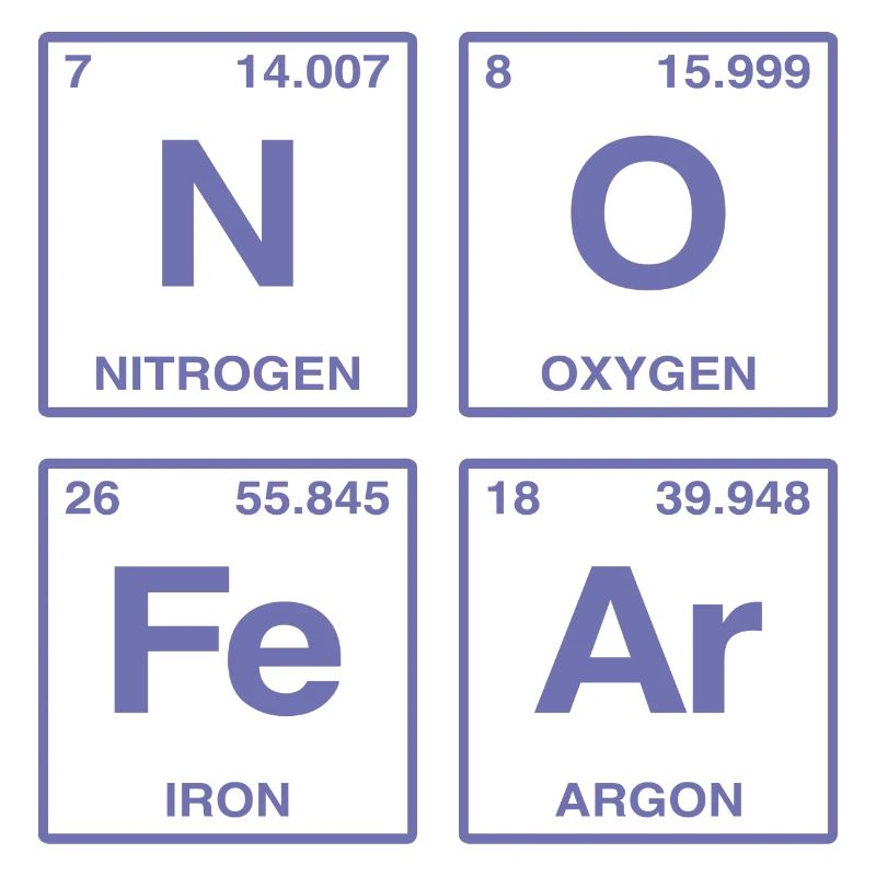 NO FEAR - avec des éléments du système de perdiode