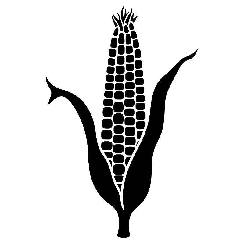 Épis de maïs – Dessin de conception de légumes