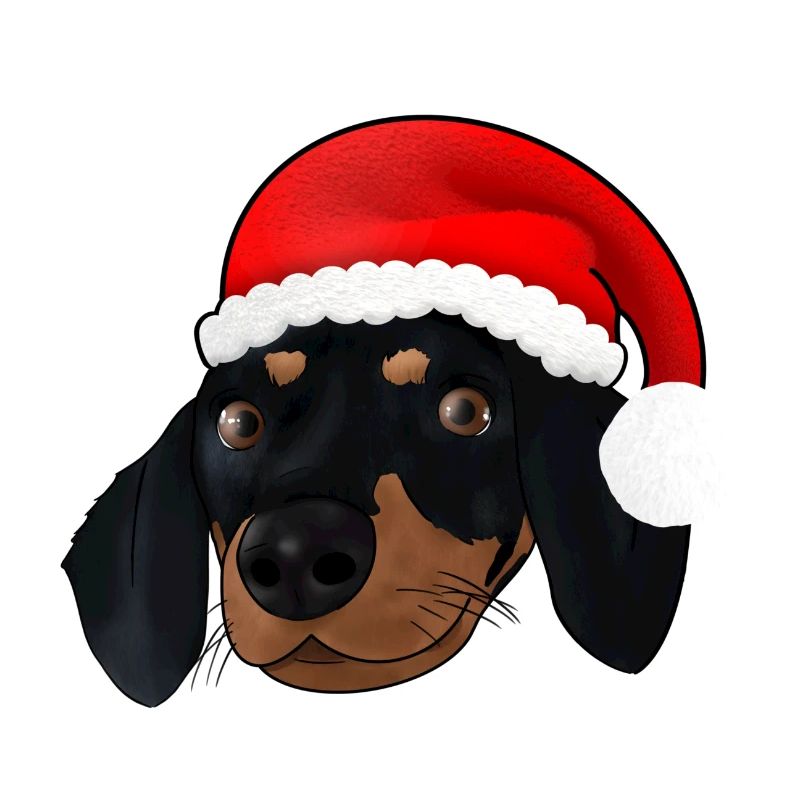 NoëlTeckel