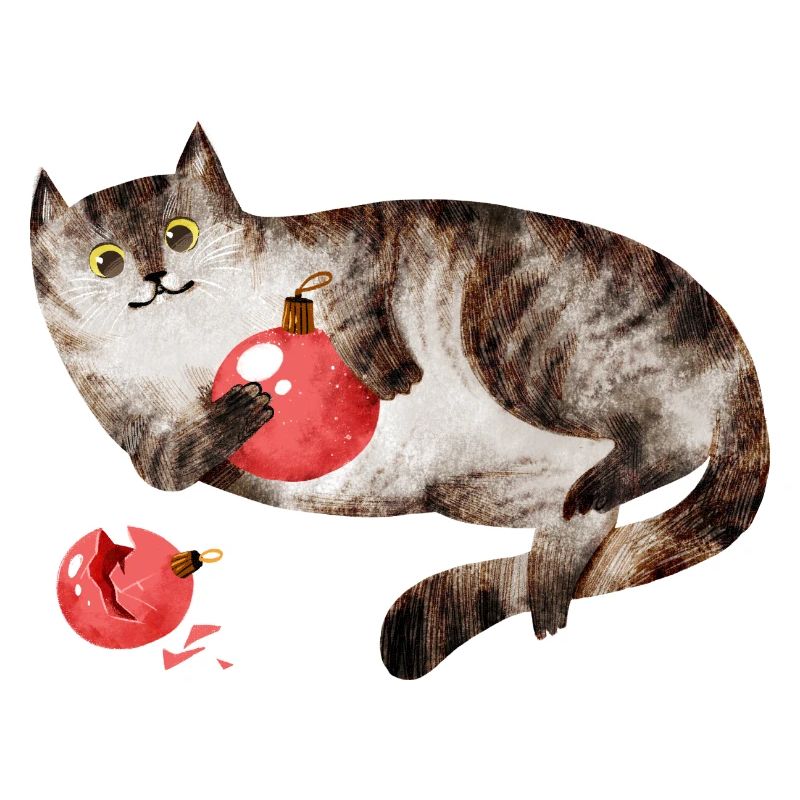 Verspielte Weihnachtskatze