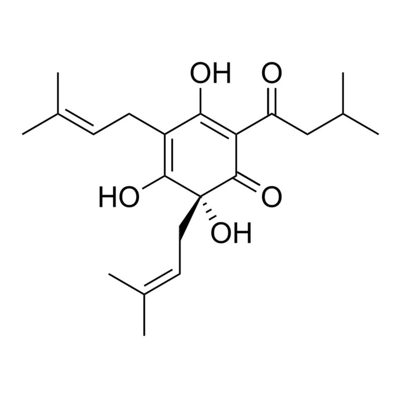 Molécule de bière.