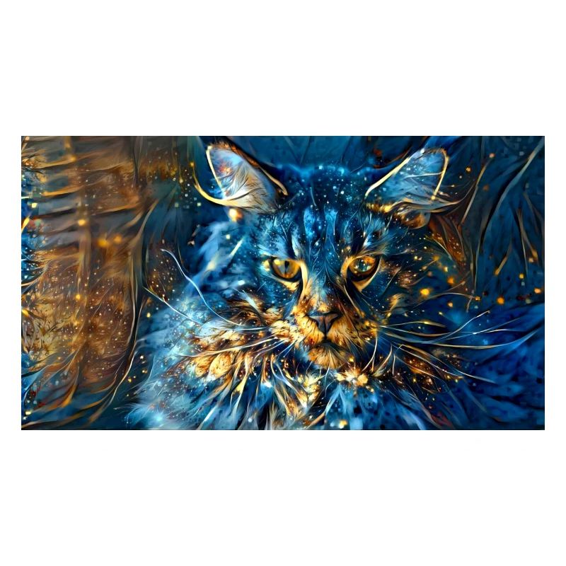 chat colotré