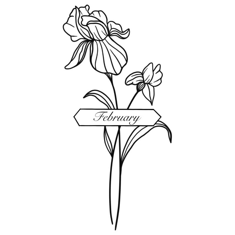 Iris de fleur de naissance pour le mois de février