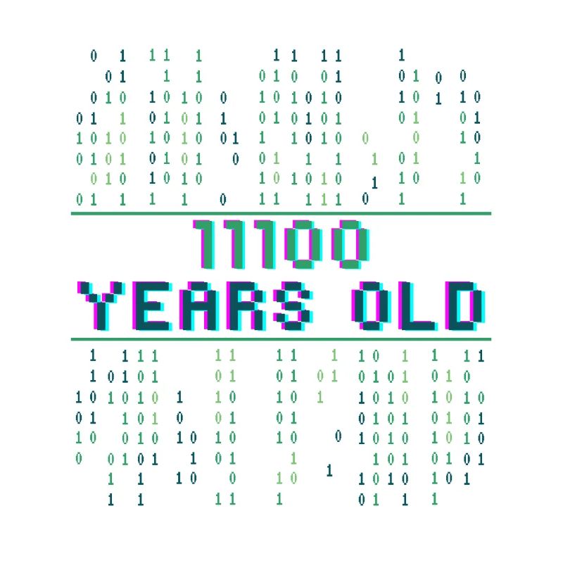 28th Birthday 28 years old Binary Code Coder