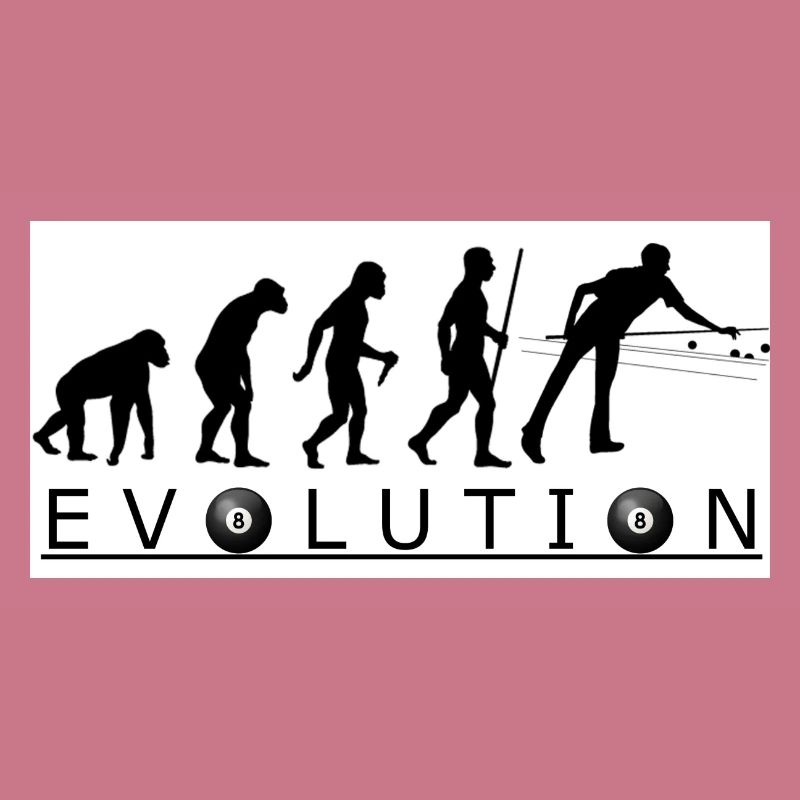 Evolution Pool Billard