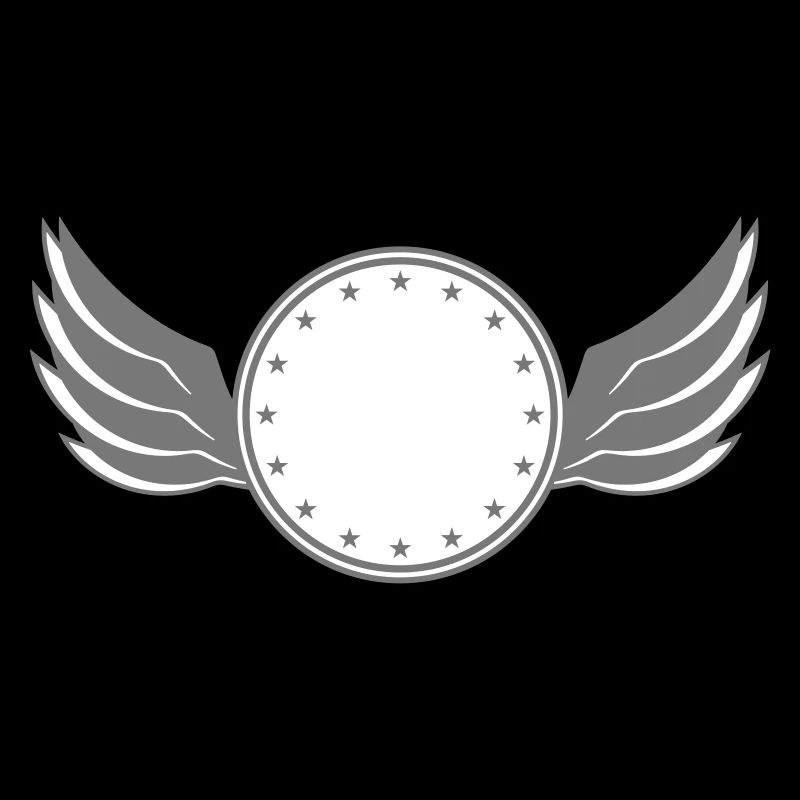 star circle frame round wing ring shield shield