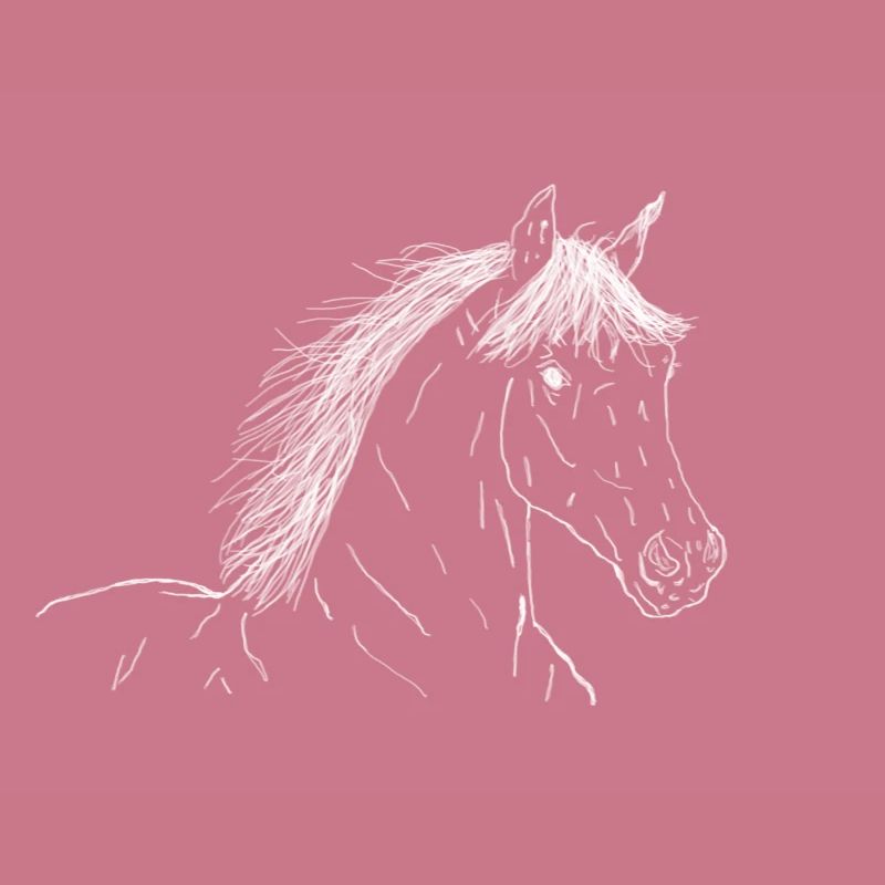 Pferd