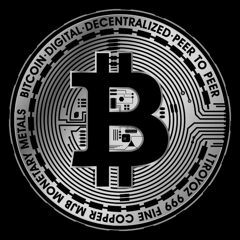 Bitcoin Shirt (black&white)
