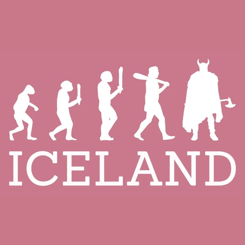 Island Evolution Wikinger Iceland