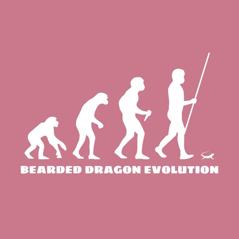 Dragon barbu Bartagame Evolution