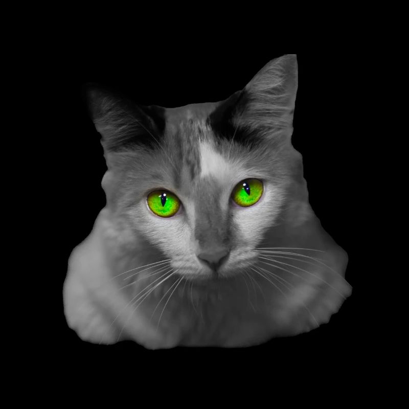 Die grünäugige Katze