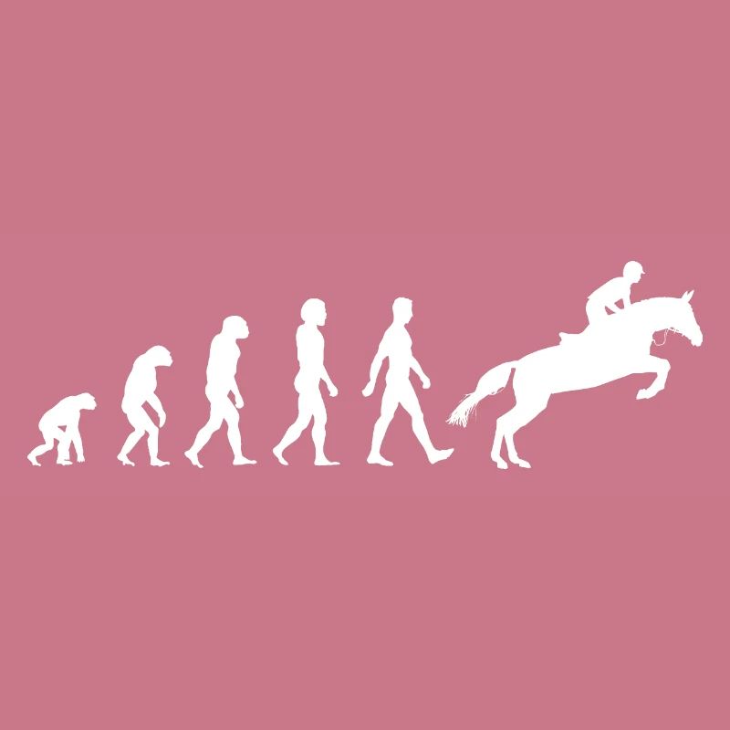 Cheval Cavaliers Cavaliers Équitation Evolution