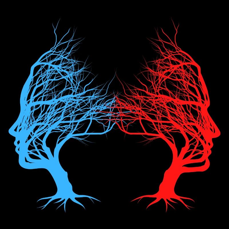 TWO FACE Optical illusion