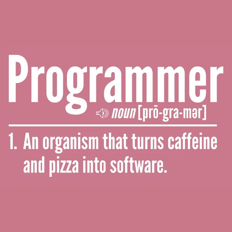 Programmeur