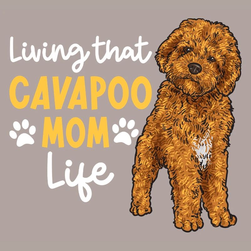 Cavapoo Cavoodle Capoodle Chien